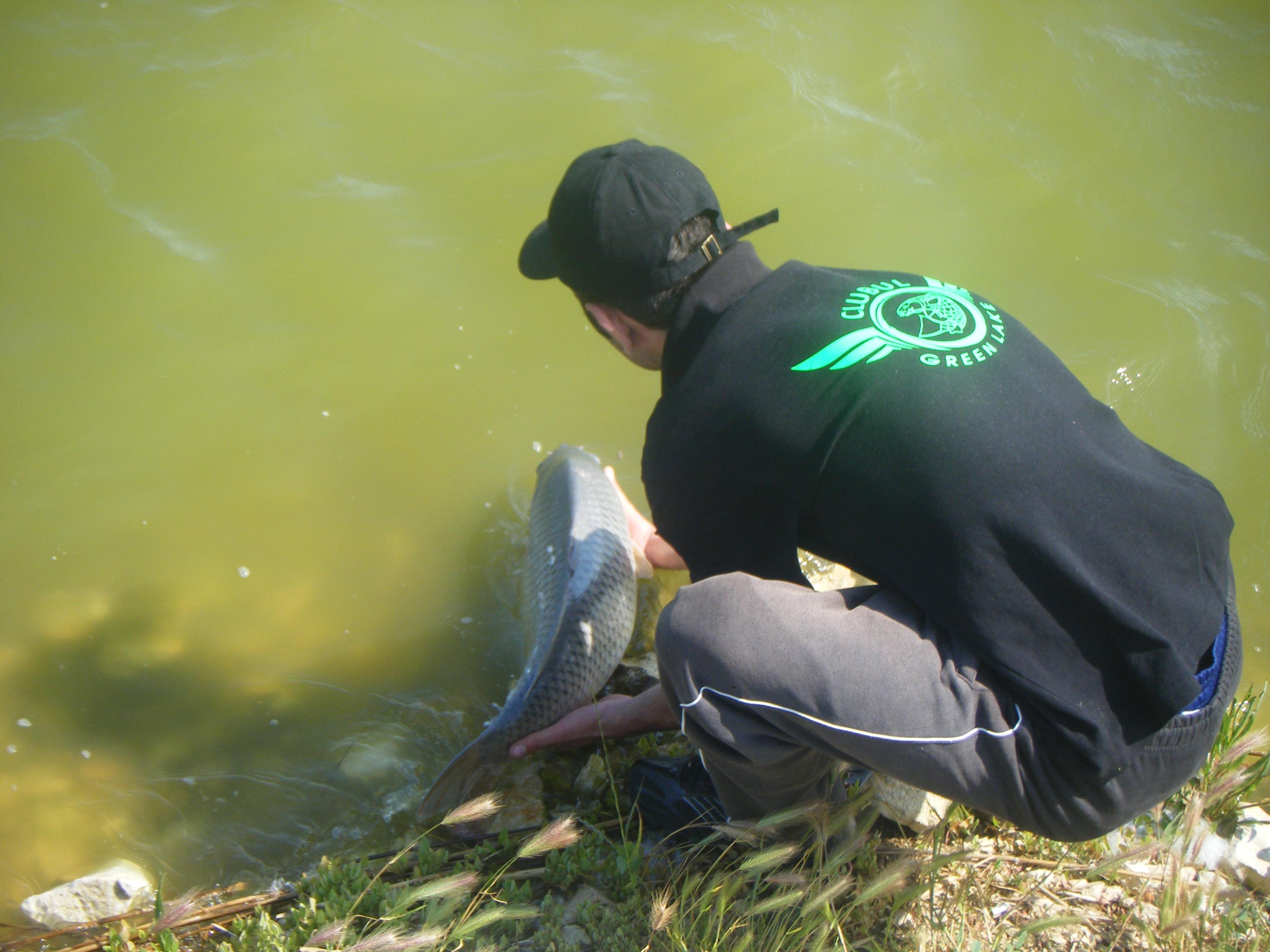 Lacul Corbu  - DSCF1200.JPG